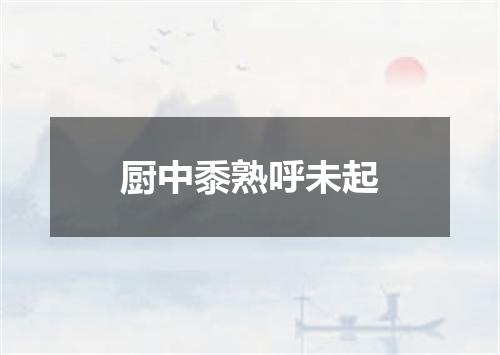 厨中黍熟呼未起