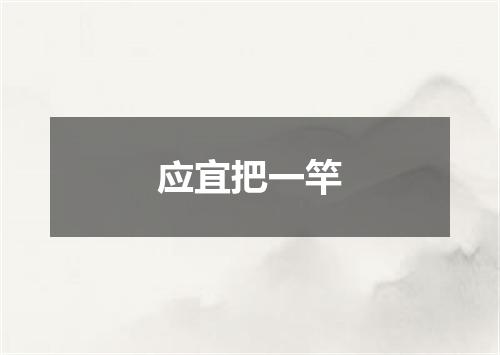 应宜把一竿