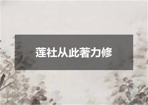 莲社从此著力修