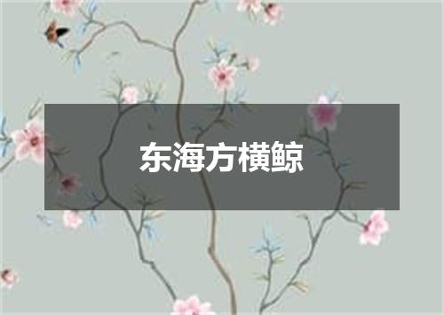 东海方横鲸