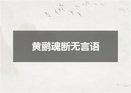 黄鹂魂断无言语