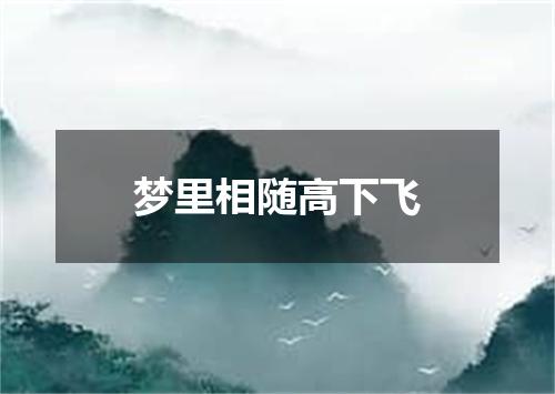 梦里相随高下飞