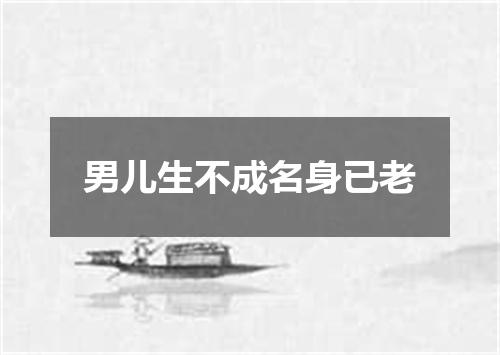 男儿生不成名身已老