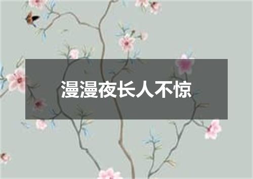 漫漫夜长人不惊