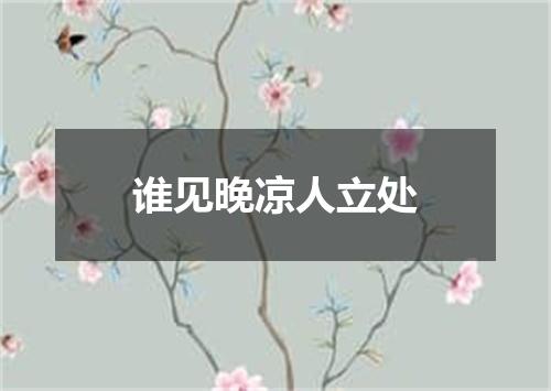 谁见晚凉人立处