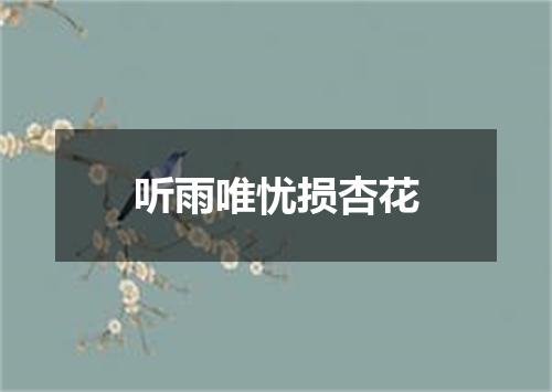 听雨唯忧损杏花
