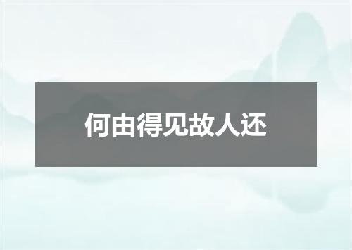 何由得见故人还