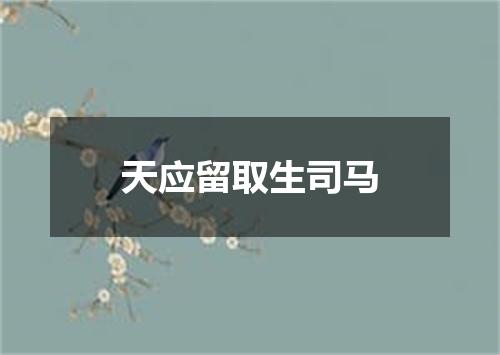 天应留取生司马