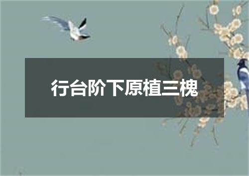 行台阶下原植三槐