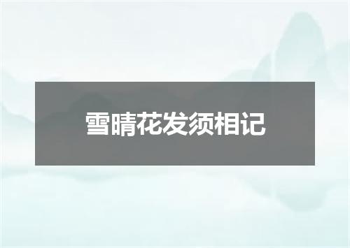 雪晴花发须相记