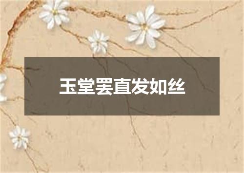 玉堂罢直发如丝