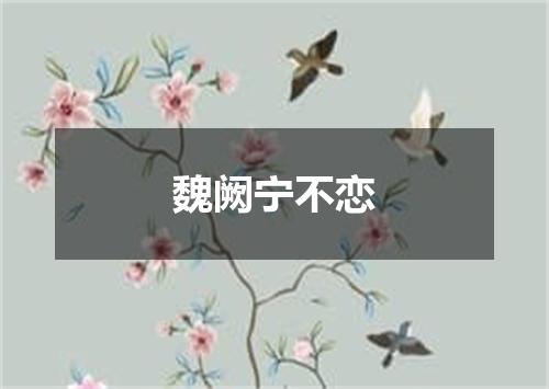 魏阙宁不恋