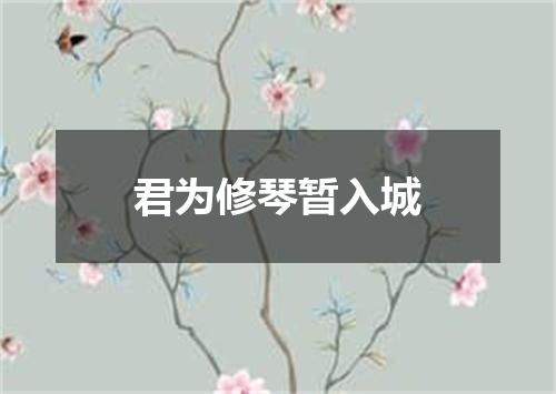 君为修琴暂入城
