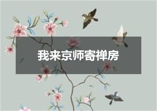 我来京师寄禅房