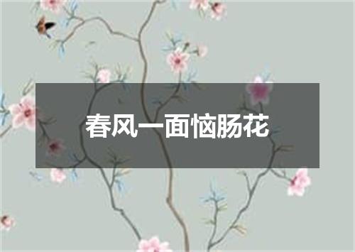 春风一面恼肠花