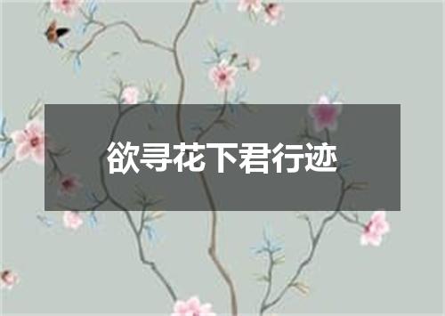 欲寻花下君行迹