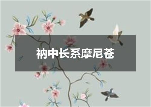 衲中长系摩尼苍