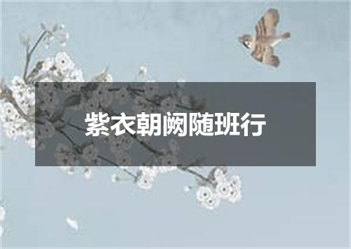 紫衣朝阙随班行