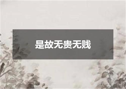 是故无贵无贱