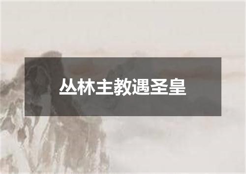 丛林主教遇圣皇