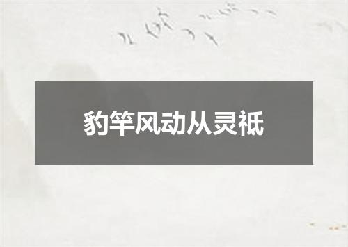 豹竿风动从灵祗