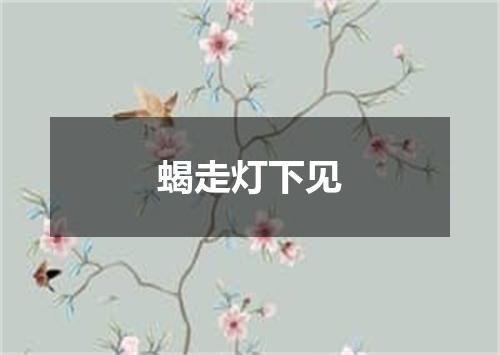 蝎走灯下见