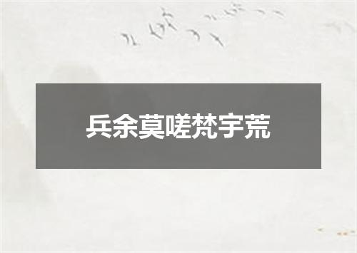 兵余莫嗟梵宇荒