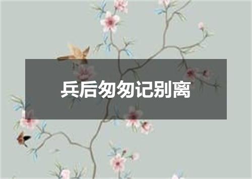 兵后匆匆记别离