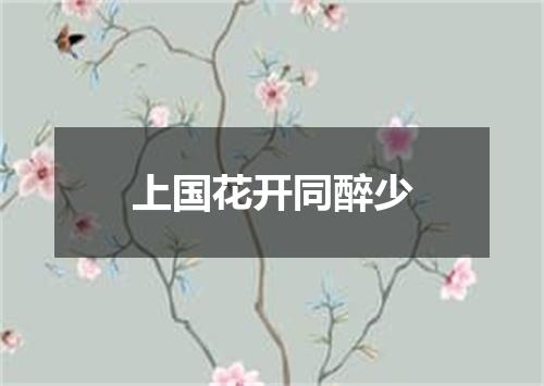 上国花开同醉少