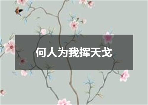 何人为我挥天戈