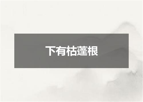 下有枯蓬根