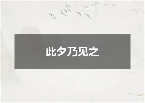 此夕乃见之