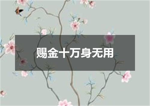 赐金十万身无用