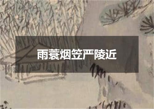 雨蓑烟笠严陵近