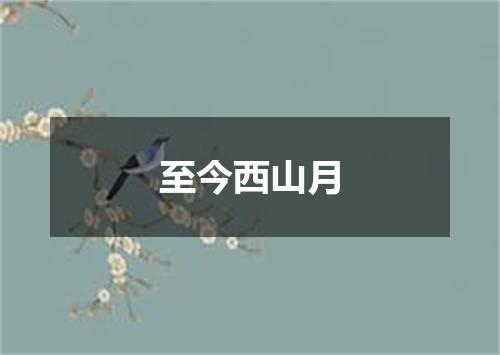 至今西山月
