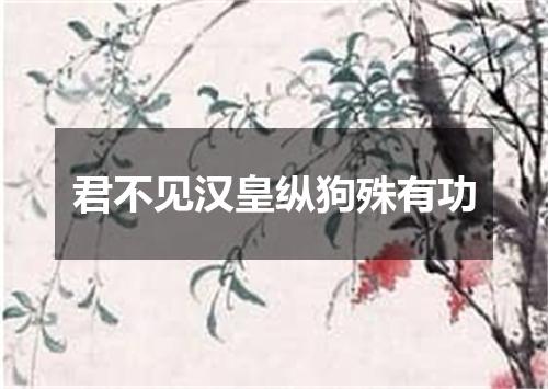 君不见汉皇纵狗殊有功