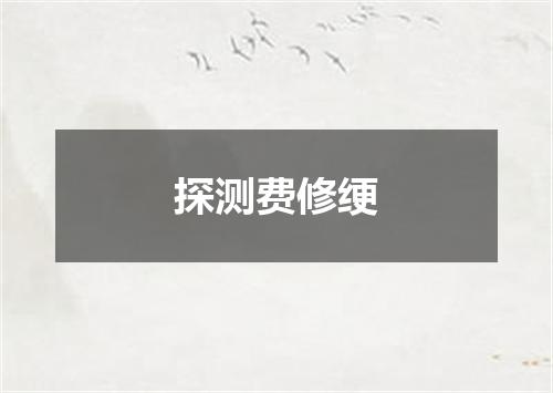 探测费修绠