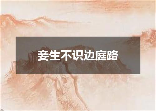 妾生不识边庭路