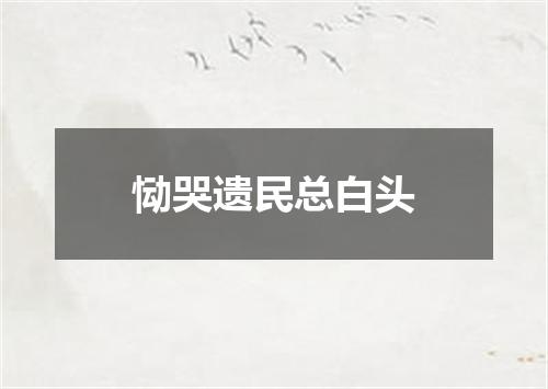 恸哭遗民总白头