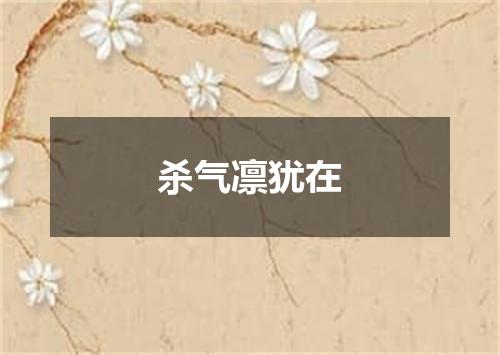 杀气凛犹在