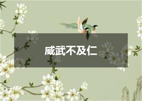 威武不及仁