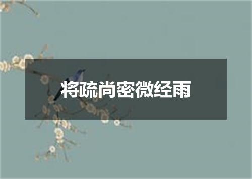 将疏尚密微经雨