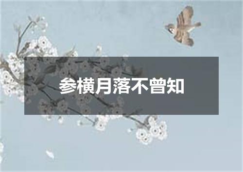 参横月落不曾知