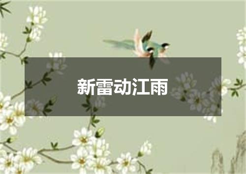 新雷动江雨