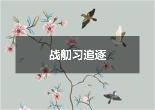 战舠习追逐