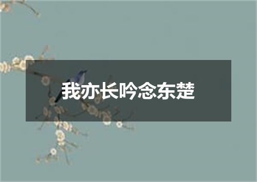 我亦长吟念东楚