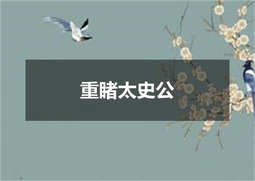重睹太史公