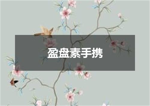 盈盘素手携