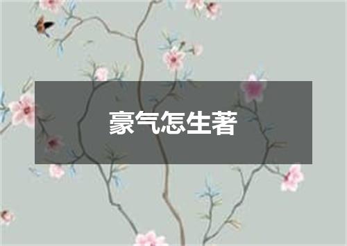 豪气怎生著