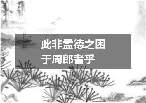 此非孟德之困于周郎者乎